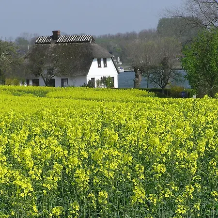 Apartament De Luette Im Gulen Hus *