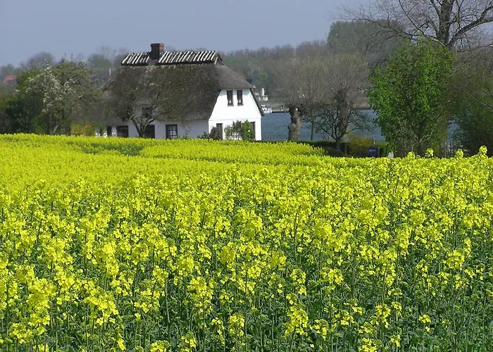Apartamento De Luette Im Gulen Hus *